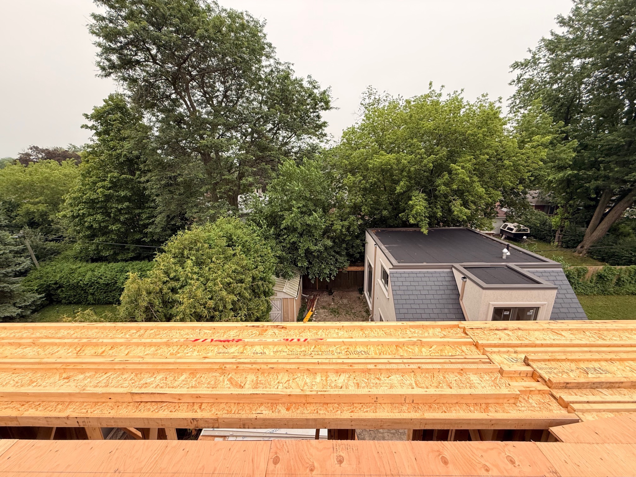 Rear-facing view from the upper-level framing during the week of July 13