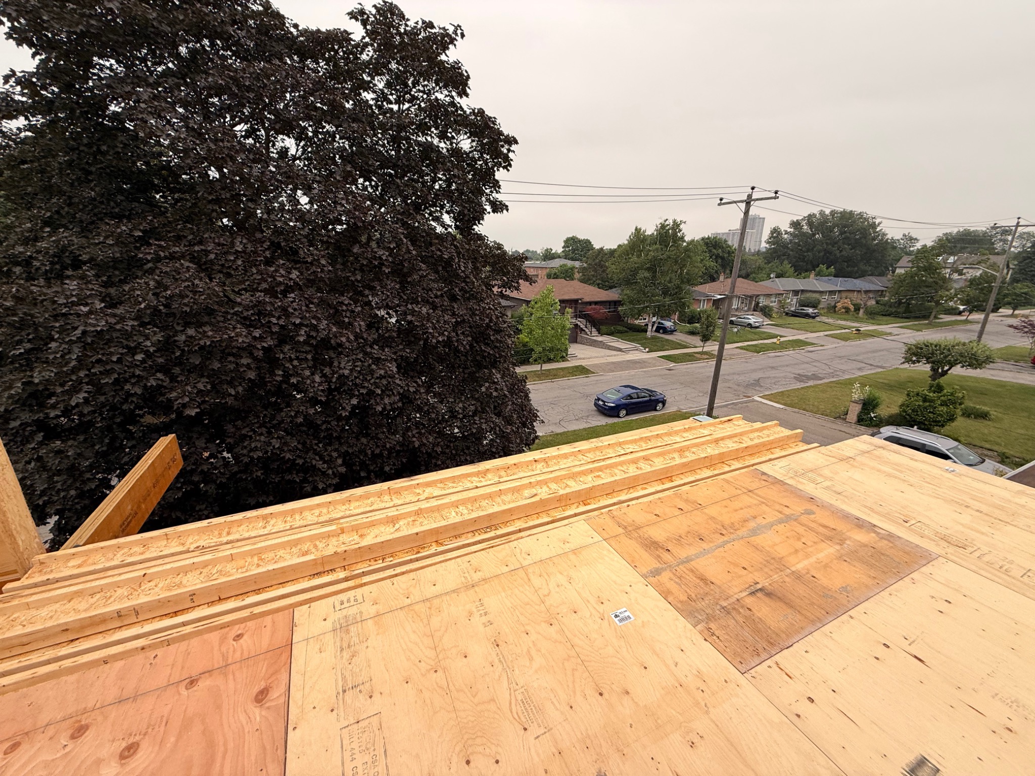 Neighbourhood view from the upper-level framing during the week of July 13